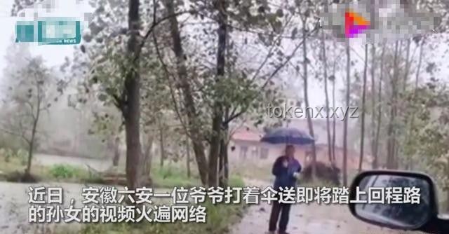 伟大母爱VS个人牺牲：雨中撑伞行为的对比分析